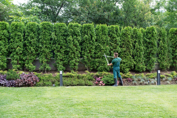 Best Lawn Mowing Services  in White Plains, NY